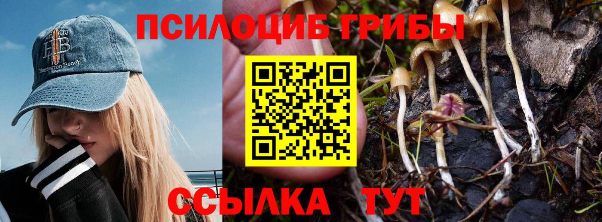 наркотики  Галлюциногенные грибы прущие грибы  Вход с VPN  Ставрополь  Псилоцибиновые грибы MAGIC MUSHROOMS 