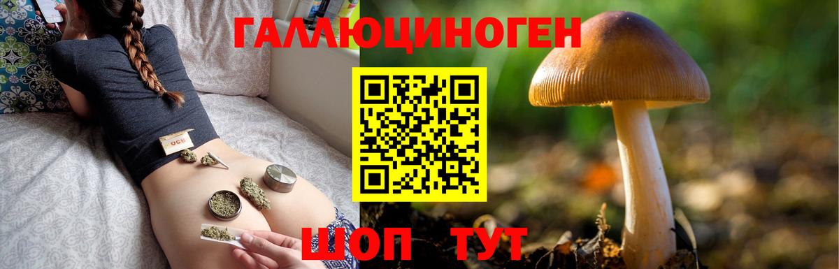 Галлюциногенные грибы Cubensis Ставрополь